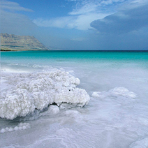 Day Trip to the Dead Sea from Amman